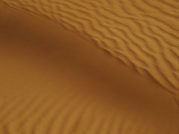 Full frame shot of sand dune