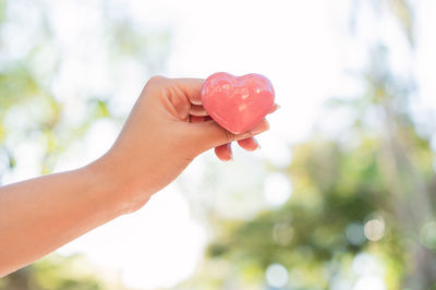 Close-up of hand holding heart shape leaf