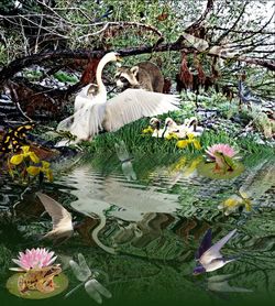 High angle view of birds in lake