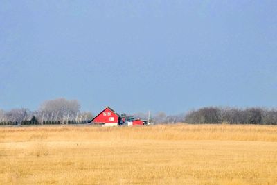 Scenic view of agricultural field against clear sky