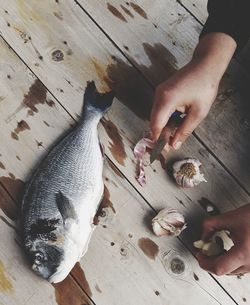High angle view of hand holding fish on table