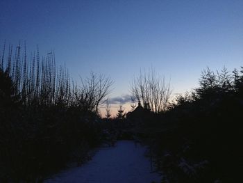 Silhouette trees against sky during sunset