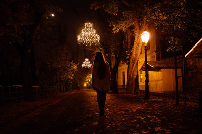 Rear view of woman walking on illuminated street at night