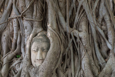 View of buddha statue