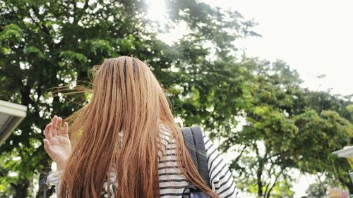 Rear view of woman looking at trees