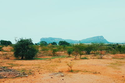 Scenic view of landscape against clear sky