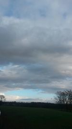 Trees on field against cloudy sky