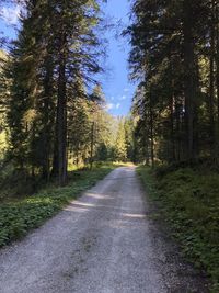 Empty road amidst trees in forest