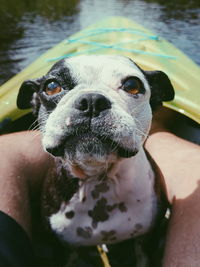 Portrait of woman with dog in water