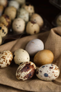 Close-up of food on table