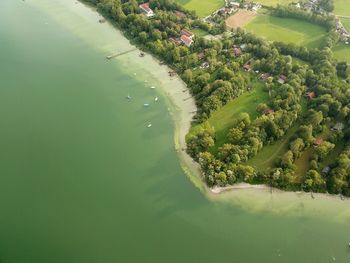 High angle view of trees by sea