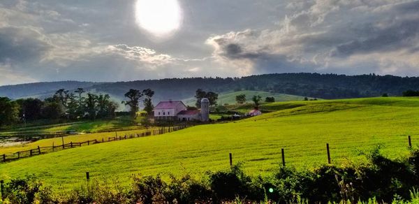 Scenic view of agricultural field against sky