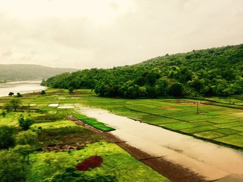 Scenic view of agricultural landscape against sky