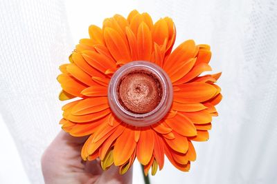 Close-up of woman holding orange flower