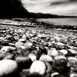 Surface level of rocks on beach