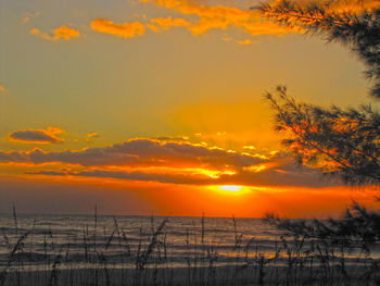 Scenic view of sea against orange sky