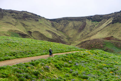 Rear view of man walking on mountain