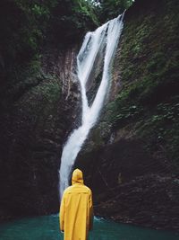 Rear view of person standing against waterfall and trees