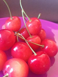 Close-up of strawberries