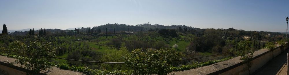 Panoramic view of trees against sky