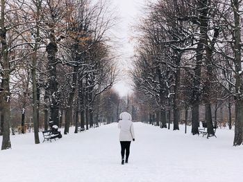 Rear view of person on snow covered field