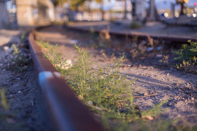 Surface level of railroad track