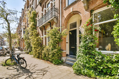 Bicycles parked outside building