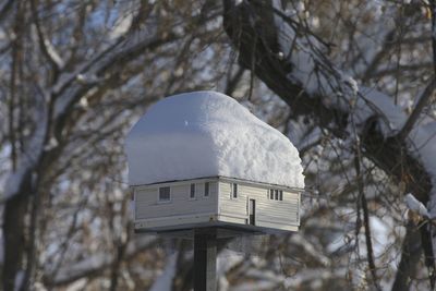 Close-up of snow on birdhouse during winter