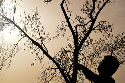 Low angle view of bare tree against sky