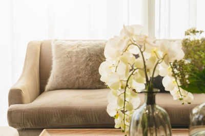 Flower vase on sofa at home