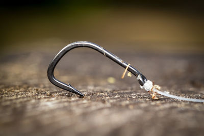 Close-up of ring on table