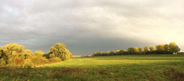 Scenic view of field against sky