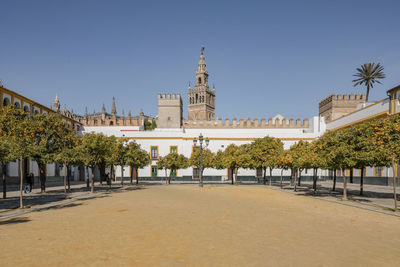 Fruit trees on field with tower in background against clear blue sky