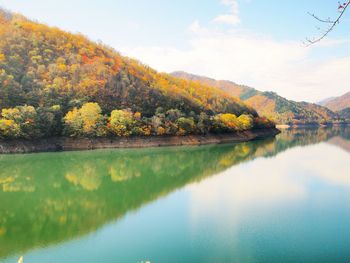 Scenic view of lake with trees in background