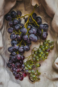 High angle view of grapes growing on table