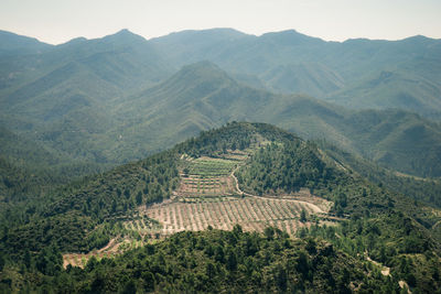 High angle view of agricultural landscape