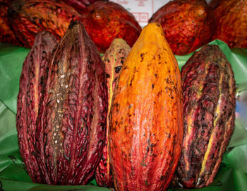 Close-up of cocoas for sale in market