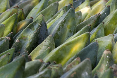 Full frame shot of green leaf