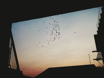 Low angle view of silhouette birds flying against sky during sunset