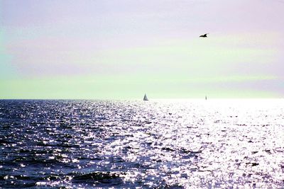 Birds flying over sea against sky