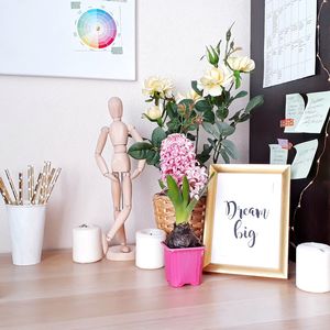 Potted plants on table against wall