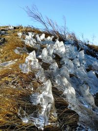 Icicles on rock