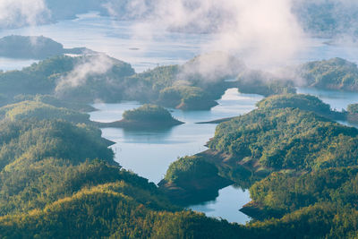 Panoramic view of sea and trees against sky