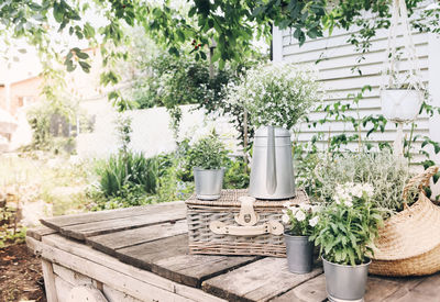 Potted plants on table in yard