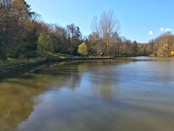 Scenic view of lake in forest against sky