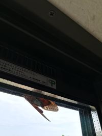 Low angle view of bird flying against sky