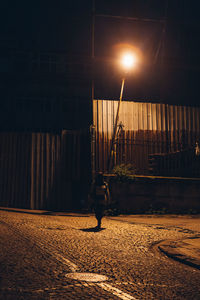 Rear view of man walking on street at night