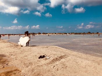 View of horses on beach