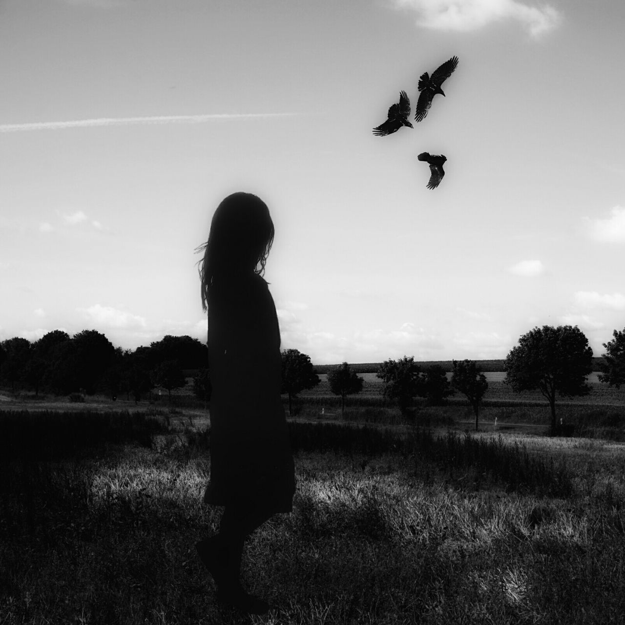 sky, grass, field, bird, leisure activity, lifestyles, landscape, nature, rear view, full length, tranquility, standing, flying, grassy, animal themes, silhouette, tranquil scene, men