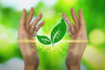 Close-up of human hand holding leaf